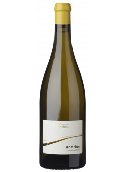 Вино Cantina Andrian Sauvignon Blanc Andrius DOC (Кантіна Андріан Совіньон Блан Андріус)